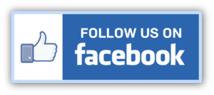 follow us on Facebook button